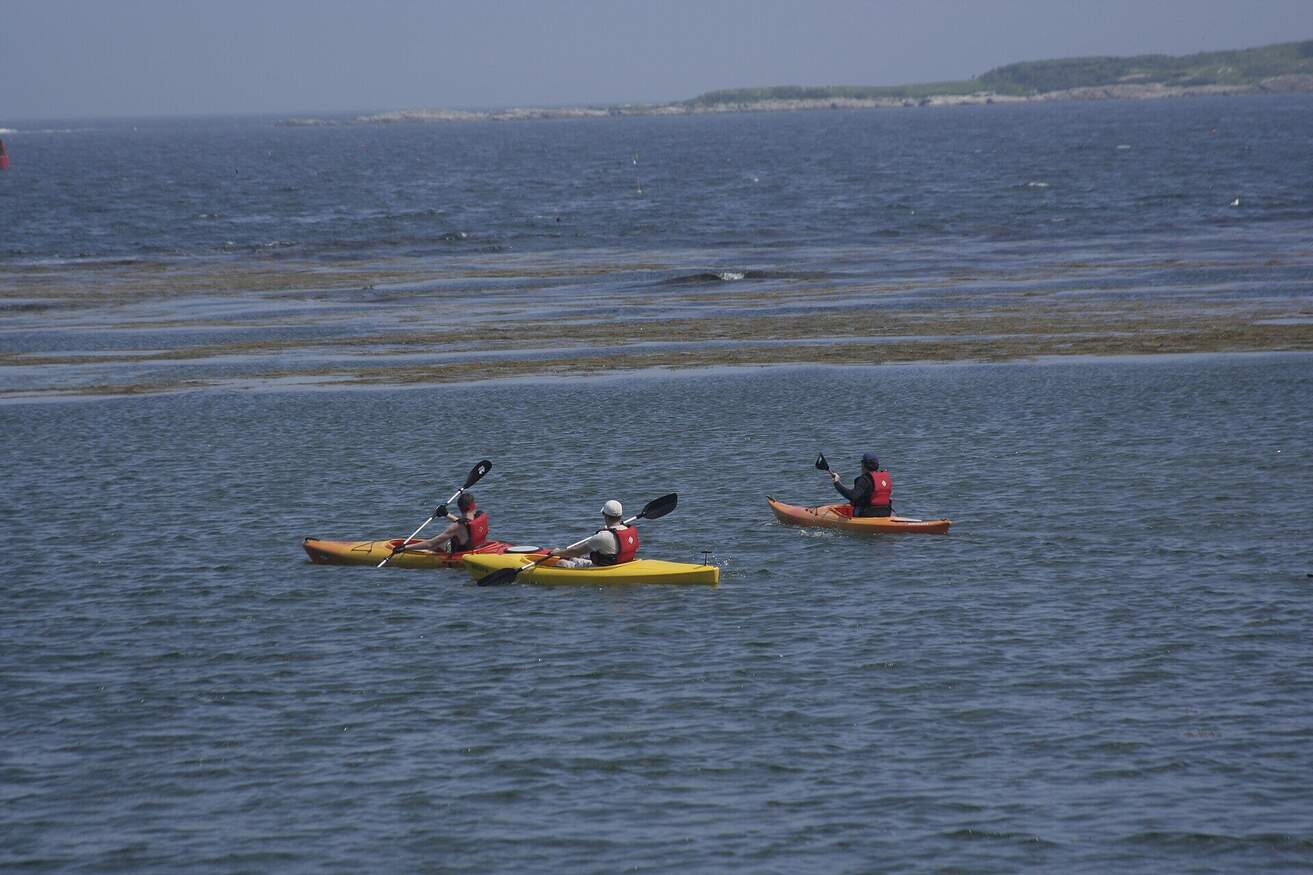 Three kayakers in red life vests paddling on open coastal water